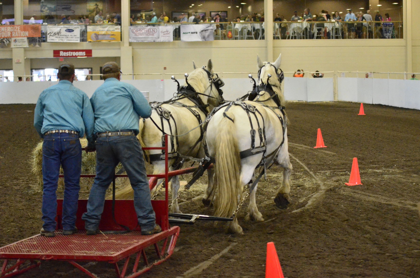 8-25-19 Draft Horse Hitch Final (13).JPG